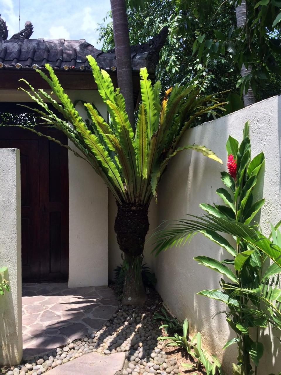 Villa Bulan Mas Ubud Exterior foto